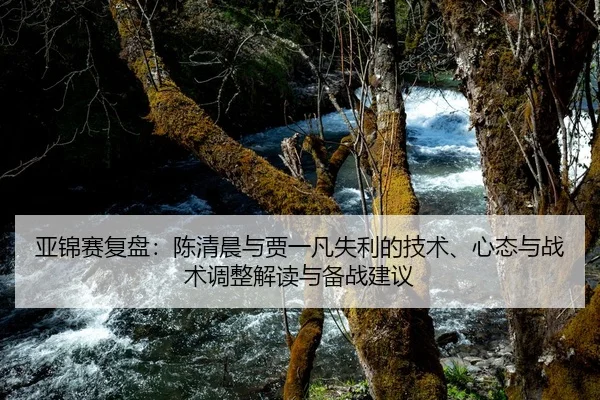 ya-jin-sai-fu-pan-chen-qing-chen-yu-jia-yi-fan-shi-li-de-ji-shu-xin-tai-yu-zhan-shu-tiao-zheng-jie-du-yu-bei-zhan-jian-2-389.jpg